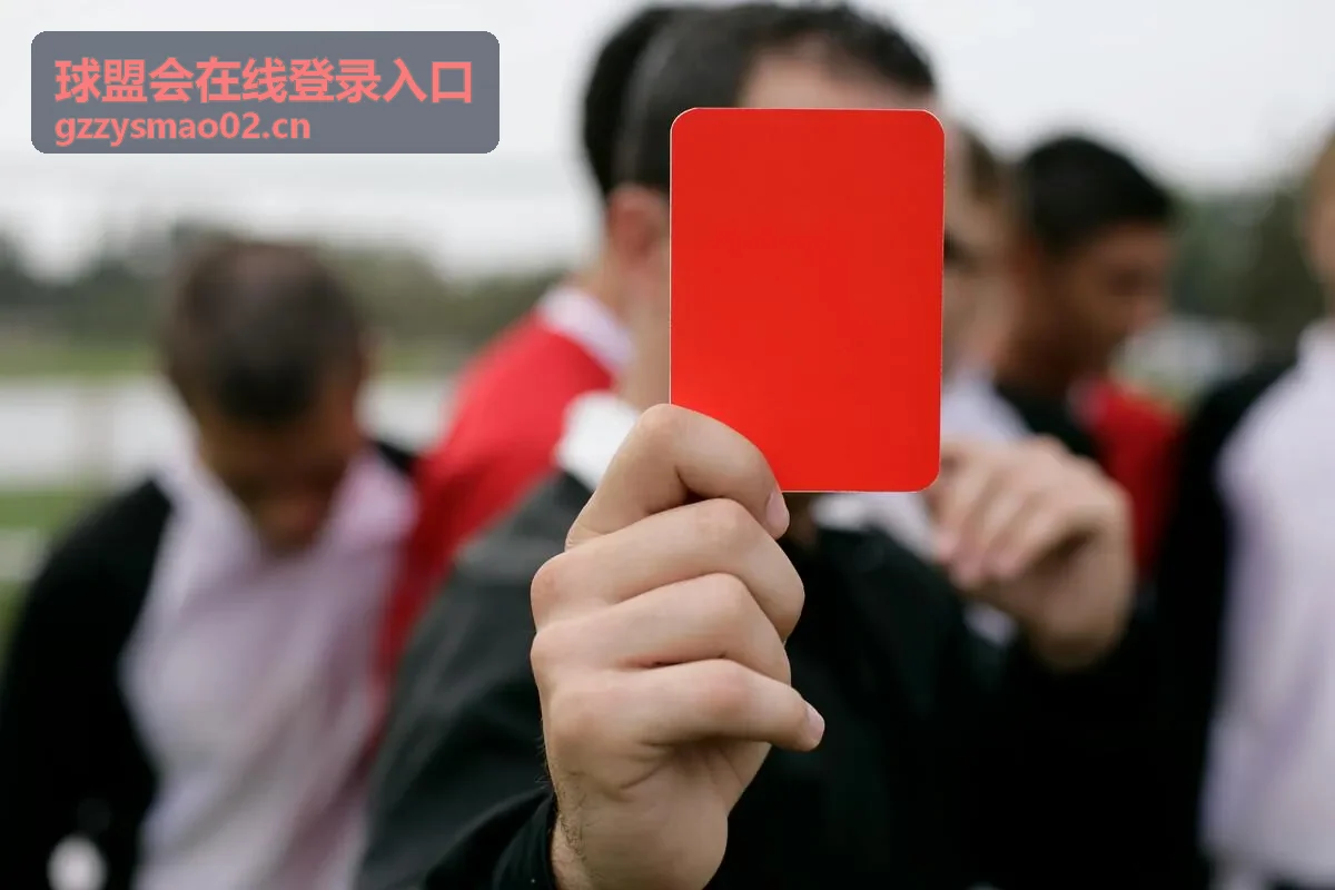 球盟会在线登录入口会员积分场景