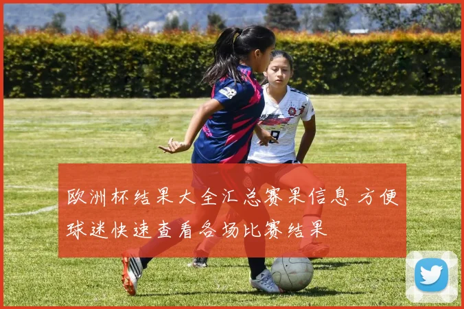 欧洲杯结果大全汇总赛果信息 方便球迷快速查看各场比赛结果