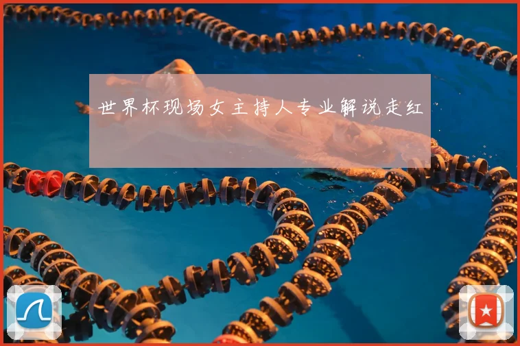 世界杯现场女主持人专业解说走红