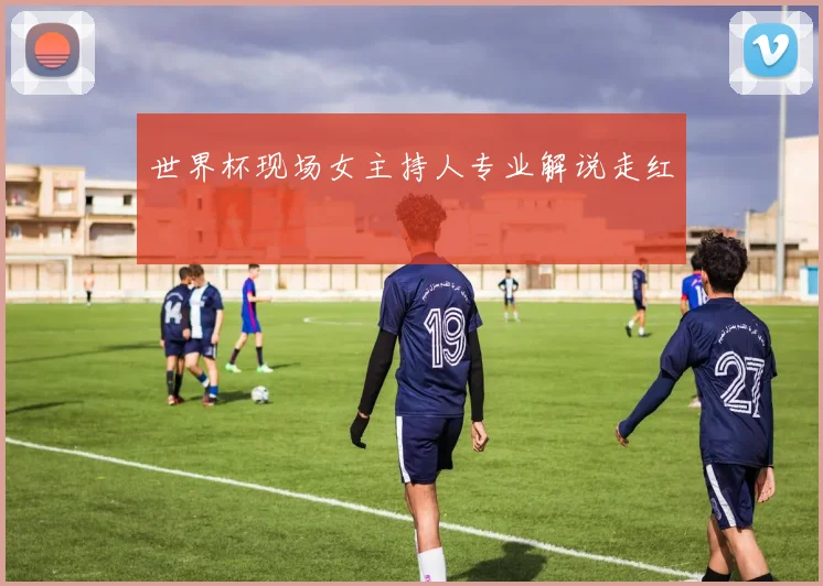 世界杯现场女主持人专业解说走红