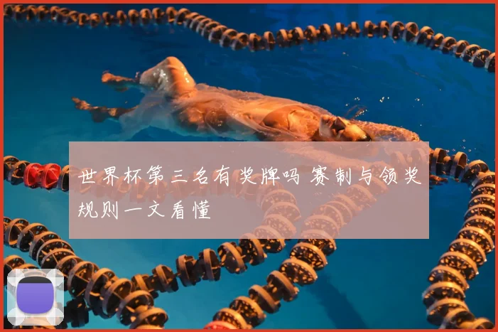 世界杯第三名有奖牌吗 赛制与领奖规则一文看懂