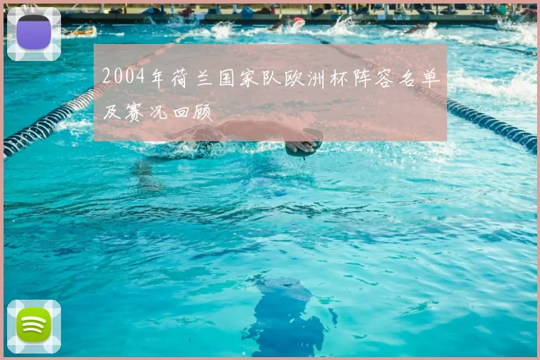 2004年荷兰国家队欧洲杯阵容名单及赛况回顾