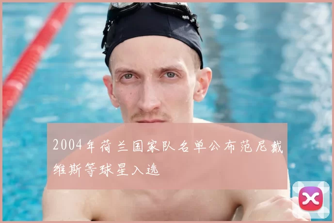 2004年荷兰国家队名单公布范尼戴维斯等球星入选
