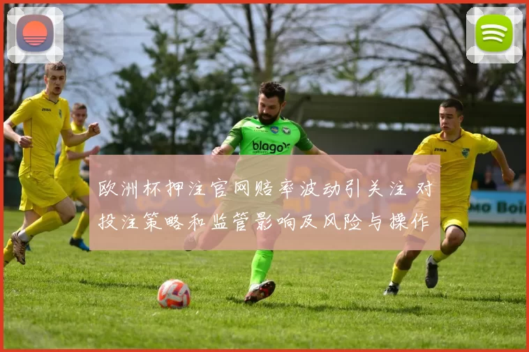 欧洲杯押注官网赔率波动引关注 对投注策略和监管影响及风险与操作建议
