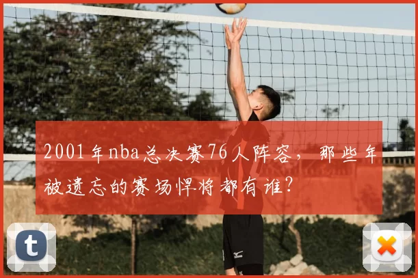 2001年nba总决赛76人阵容，那些年被遗忘的赛场悍将都有谁？