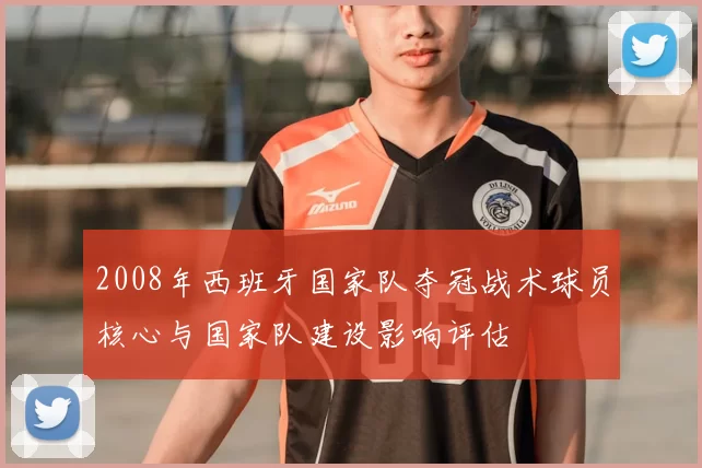 2008年西班牙国家队夺冠战术球员核心与国家队建设影响评估