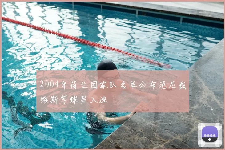 2004年荷兰国家队名单公布范尼戴维斯等球星入选