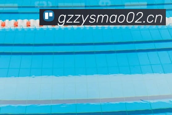 九游体育在线平台平台生态图